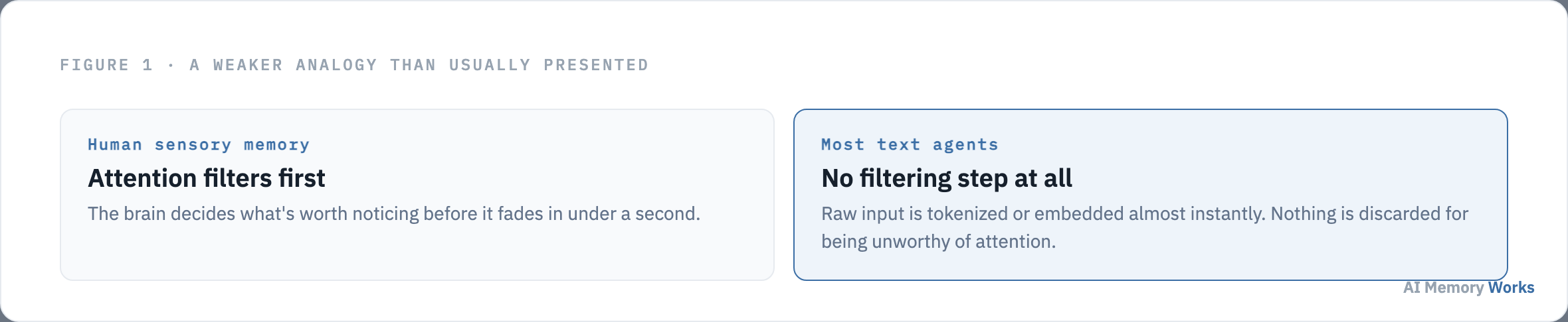 Human sensory memory filters input through attention first, while most text based AI agents tokenize raw input immediately with no filtering step